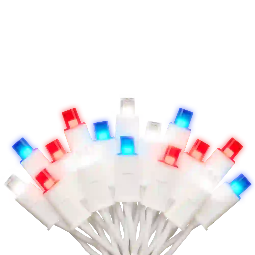 100Ct 5MM Commercial LED Mini String Lights, 25FT Waterproof